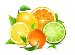 وکتور مرکبات پرتقال و آبمیوه