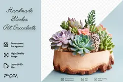 PNG گلدان چوبی کاکتوس