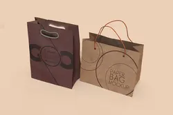 موکاپ بگ کاغذی کرافت