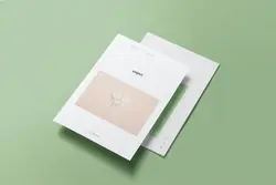 موکاپ کاغذ و برگه A4