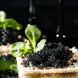 عکس استوک خاویار سیاه