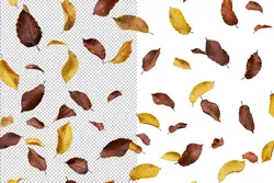 افکت افتادن برگ های پاییزی PNG