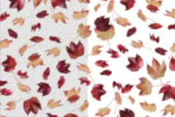 افکت افتادن برگ های پاییزی PNG