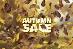 افکت افتادن برگ های پاییزی PNG