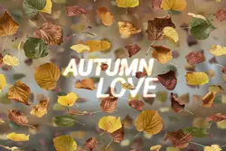 افکت افتادن برگ های پاییزی PNG