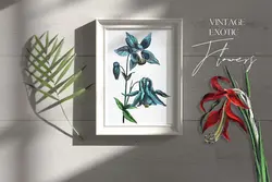 طرح گل های استوایی قدیمی