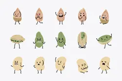 30 وکتور حبوبات و مغزهای بامزه کودکانه و کارتونی