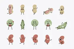 30 وکتور حبوبات و مغزهای بامزه کودکانه و کارتونی