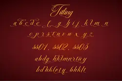 فونت خوشنویسی کریسمس