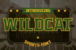 تایپ فیس ورزشی Wildcat