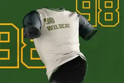 تایپ فیس ورزشی Wildcat