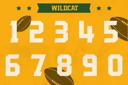 تایپ فیس ورزشی Wildcat