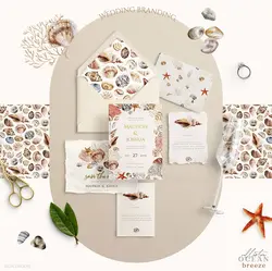 PNG صدف و حلزون دریایی آبرنگی و پترن