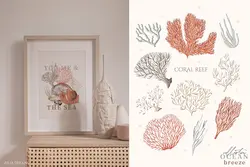 PNG صدف و حلزون دریایی آبرنگی و پترن