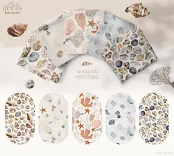 PNG صدف و حلزون دریایی آبرنگی و پترن