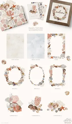 PNG صدف و حلزون دریایی آبرنگی و پترن