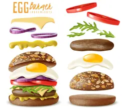 وکتور همبرگر با تخم مرغ