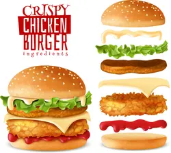 تصویر وکتور همبرگر با اجزا تشکیل دهنده