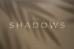 15 افکت سایه شاخه و برگ گیاهان