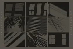 9 افکت سایه درخت و پنجره برای فتوشاپ