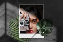 9 افکت سایه درخت و پنجره برای فتوشاپ