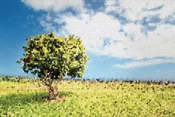 افکت عکس پازلی و موزاییکی فتوشاپ