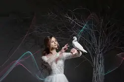 50 افکت خطوط موج دار انتزاعی برای فتوشاپ