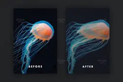 افکت عکس تلویزیون موج دار قدیمی برای فتوشاپ