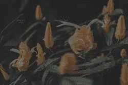 افکت عکس تلویزیون موج دار قدیمی برای فتوشاپ