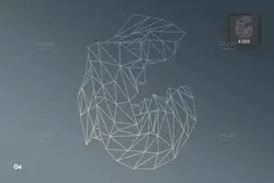 10 براش فتوشاپ اشکال هندسی وایرفریم + PNG, AI