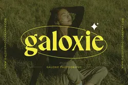 سریف فونت رترو و قدیمی Salty Ages