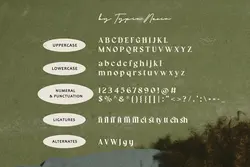 سریف فونت رترو و قدیمی Salty Ages