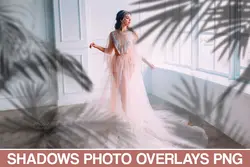 60 افکت سایه پنجره، درخت و گیاهان PNG