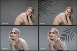 60 افکت سایه پنجره، درخت و گیاهان PNG