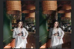 60 افکت سایه پنجره، درخت و گیاهان PNG