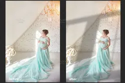 60 افکت سایه پنجره، درخت و گیاهان PNG