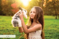 30 افکت اشعه و نور خورشید برای فتوشاپ