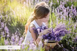 30 افکت اشعه و نور خورشید برای فتوشاپ