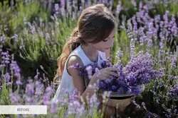 30 افکت اشعه و نور خورشید برای فتوشاپ