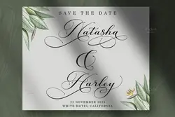 فونت خوشنویسی کشیده Canberra