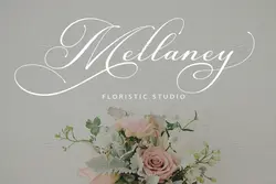 فونت خوشنویسی کشیده Canberra