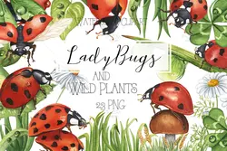 طرح آبرنگی کفشدوزک و گل و گیاه