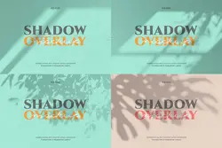 28 افکت سایه پنجره و درخت طبیعی – لایه باز PSD