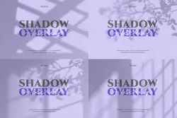 28 افکت سایه پنجره و درخت طبیعی – لایه باز PSD