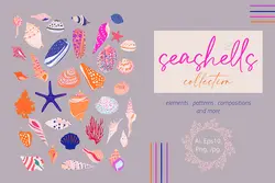 وکتور صدف و حلزون دریایی + پترن و قاب و فریم