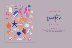 وکتور صدف و حلزون دریایی + پترن و قاب و فریم