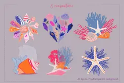 وکتور صدف و حلزون دریایی + پترن و قاب و فریم