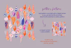 وکتور صدف و حلزون دریایی + پترن و قاب و فریم