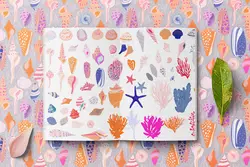 وکتور صدف و حلزون دریایی + پترن و قاب و فریم