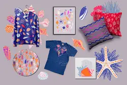 وکتور صدف و حلزون دریایی + پترن و قاب و فریم